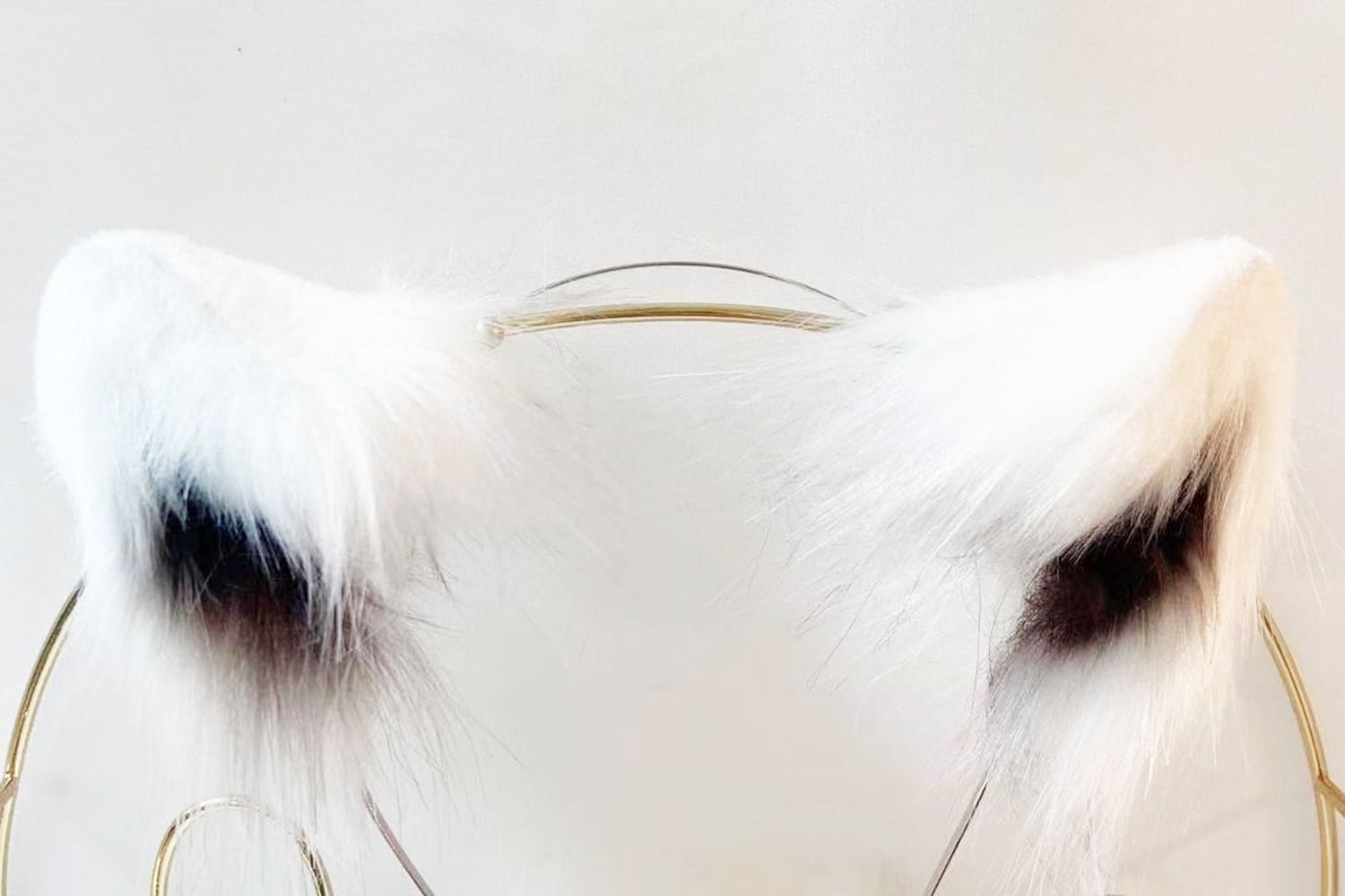 collection-banner-image